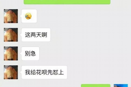 栾城融资清欠服务